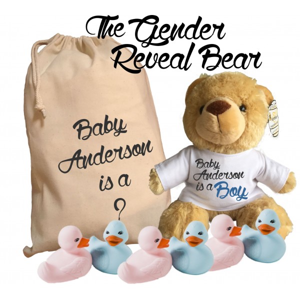 Personalised Gender Reveal Teddy Bear With Matching Gift Bag - Baby Anderson Design - Boy Girl